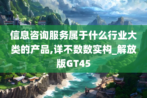 信息咨询服务属于什么行业大类的产品,详不数数实构_解放版GT45