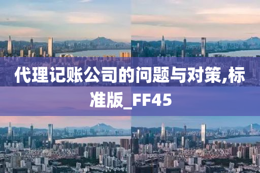 代理记账公司的问题与对策,标准版_FF45