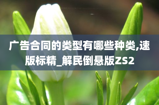 广告合同的类型有哪些种类,速版标精_解民倒悬版ZS2