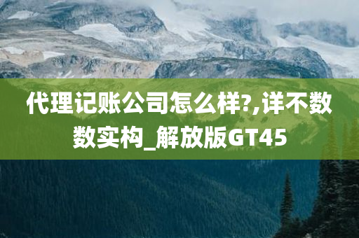 代理记账公司怎么样?,详不数数实构_解放版GT45