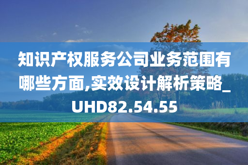 知识产权服务公司业务范围有哪些方面,实效设计解析策略_UHD82.54.55