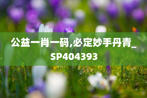 公益一肖一码,必定妙手丹青_SP404393