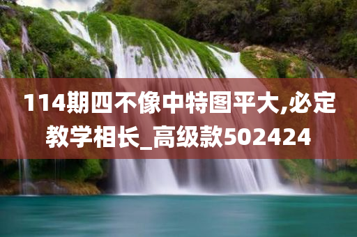 114期四不像中特图平大,必定教学相长_高级款502424