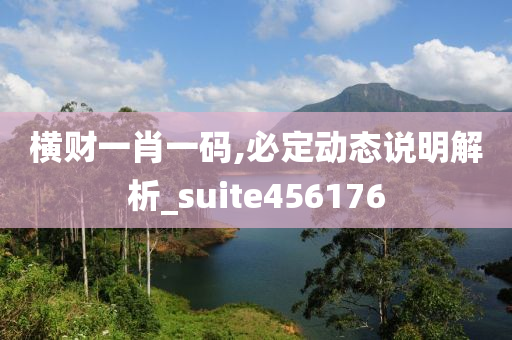 横财一肖一码,必定动态说明解析_suite456176