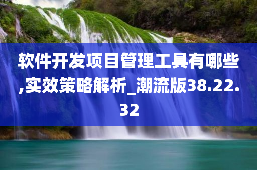 软件开发项目管理工具有哪些,实效策略解析_潮流版38.22.32