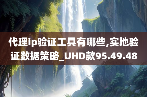 代理ip验证工具有哪些,实地验证数据策略_UHD款95.49.48