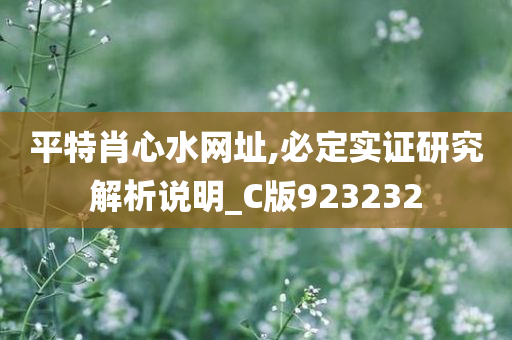 平特肖心水网址,必定实证研究解析说明_C版923232