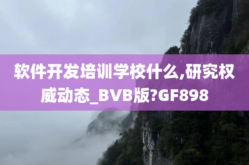 软件开发培训学校什么,研究权威动态_BVB版?GF898