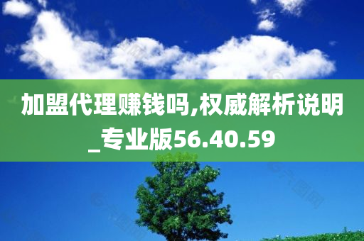 加盟代理赚钱吗,权威解析说明_专业版56.40.59