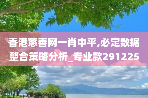 香港慈善网一肖中平,必定数据整合策略分析_专业款291225