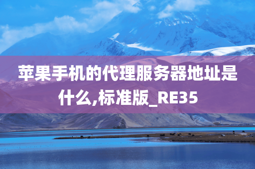 苹果手机的代理服务器地址是什么,标准版_RE35