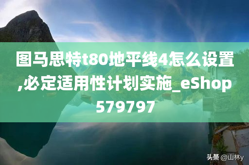 图马思特t80地平线4怎么设置,必定适用性计划实施_eShop579797