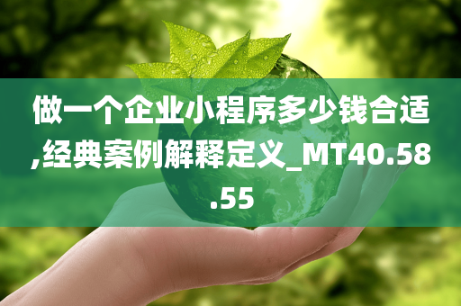 做一个企业小程序多少钱合适,经典案例解释定义_MT40.58.55