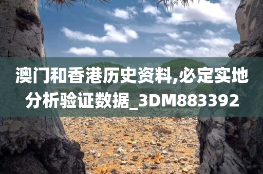 澳门和香港历史资料,必定实地分析验证数据_3DM883392