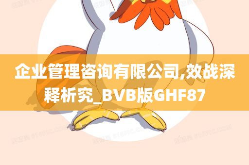 企业管理咨询有限公司,效战深释析究_BVB版GHF87