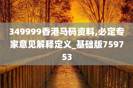 349999香港马码资料,必定专家意见解释定义_基础版759753