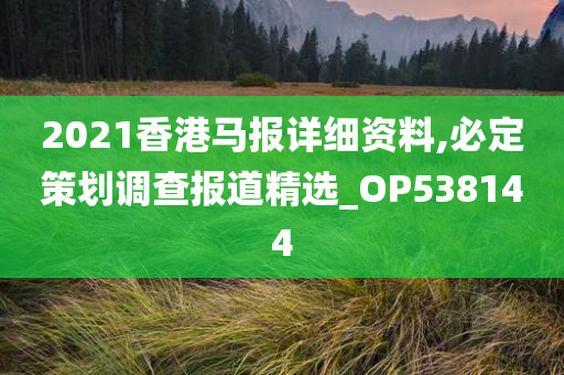 2021香港马报详细资料,必定策划调查报道精选_OP538144