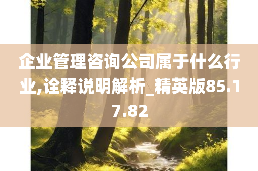 企业管理咨询公司属于什么行业,诠释说明解析_精英版85.17.82