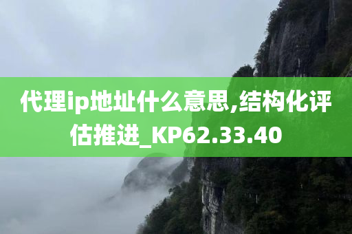 代理ip地址什么意思,结构化评估推进_KP62.33.40