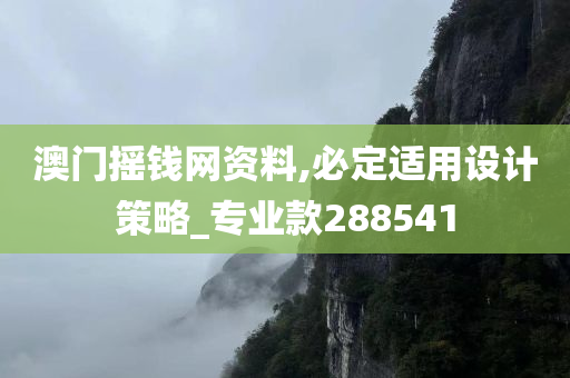 澳门摇钱网资料,必定适用设计策略_专业款288541