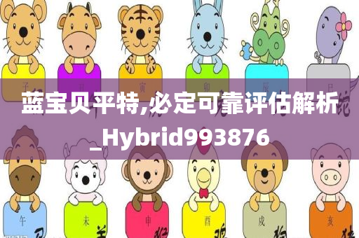 蓝宝贝平特,必定可靠评估解析_Hybrid993876