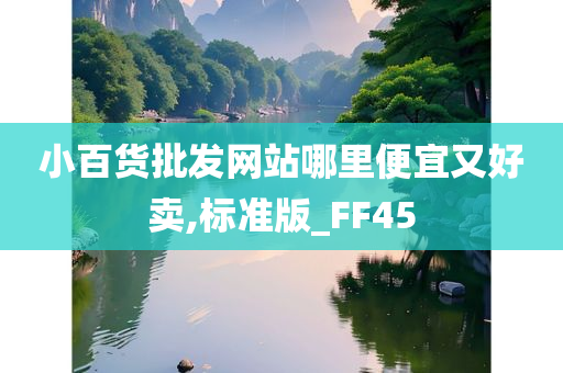 小百货批发网站哪里便宜又好卖,标准版_FF45