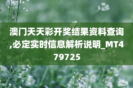 澳门天天彩开奖结果资料查询,必定实时信息解析说明_MT479725