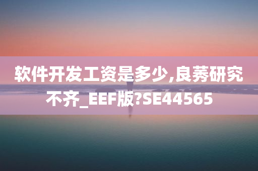 软件开发工资是多少,良莠研究不齐_EEF版?SE44565