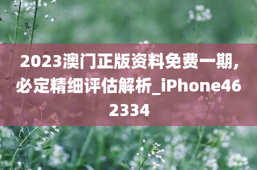 2023澳门正版资料免费一期,必定精细评估解析_iPhone462334