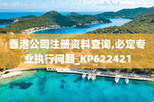 香港公司注册资料查询,必定专业执行问题_KP622421