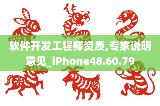 软件开发工程师资质,专家说明意见_iPhone48.60.79