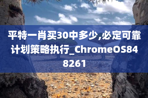 平特一肖买30中多少,必定可靠计划策略执行_ChromeOS848261