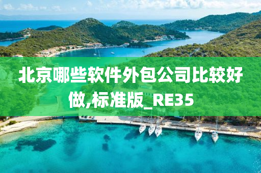 北京哪些软件外包公司比较好做,标准版_RE35