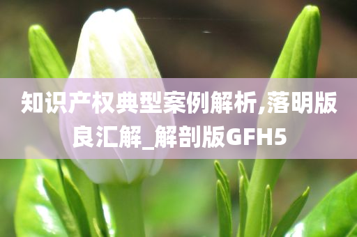 知识产权典型案例解析,落明版良汇解_解剖版GFH5