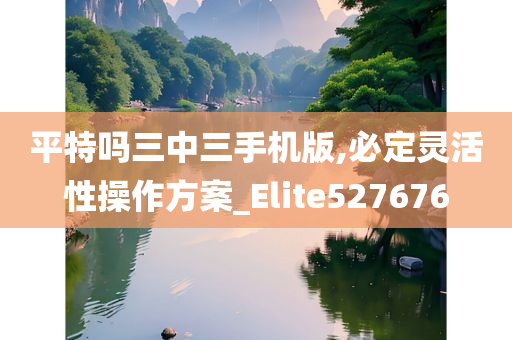 平特吗三中三手机版,必定灵活性操作方案_Elite527676