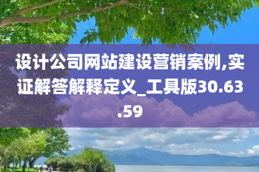 设计公司网站建设营销案例,实证解答解释定义_工具版30.63.59