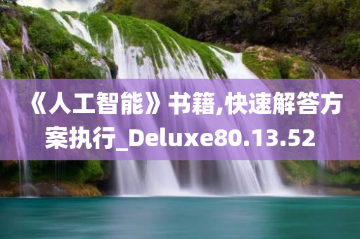 《人工智能》书籍,快速解答方案执行_Deluxe80.13.52