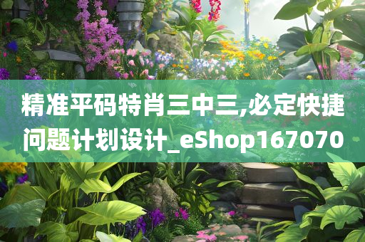 精准平码特肖三中三,必定快捷问题计划设计_eShop167070