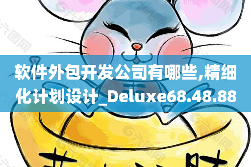 软件外包开发公司有哪些,精细化计划设计_Deluxe68.48.88