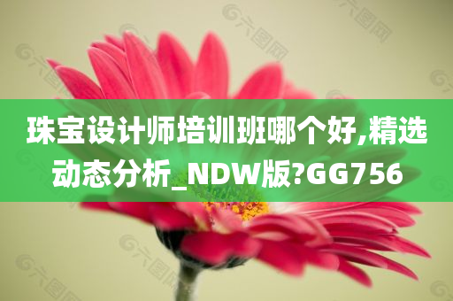 珠宝设计师培训班哪个好,精选动态分析_NDW版?GG756