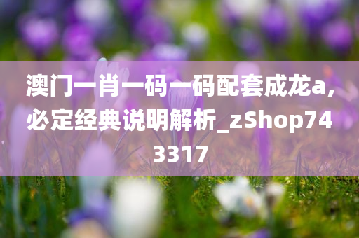 澳门一肖一码一码配套成龙a,必定经典说明解析_zShop743317