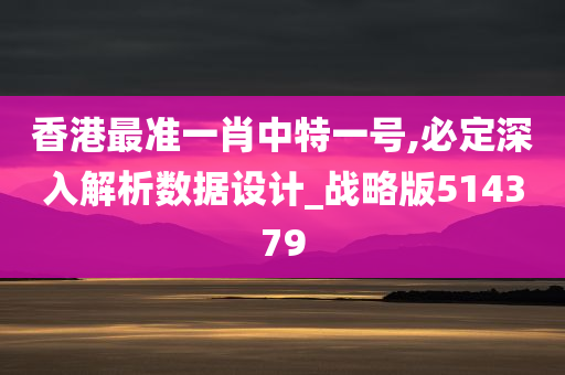 香港最准一肖中特一号,必定深入解析数据设计_战略版514379