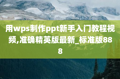 用wps制作ppt新手入门教程视频,准确精英版最新_标准版888