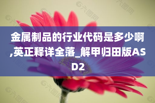 金属制品的行业代码是多少啊,英正释详全落_解甲归田版ASD2