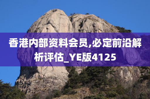 香港内部资料会员,必定前沿解析评估_YE版4125