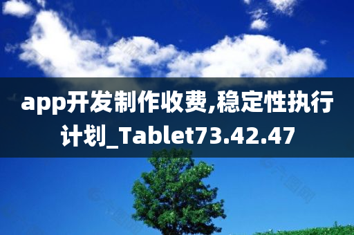 app开发制作收费,稳定性执行计划_Tablet73.42.47