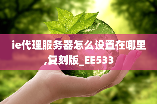 ie代理服务器怎么设置在哪里,复刻版_EE533