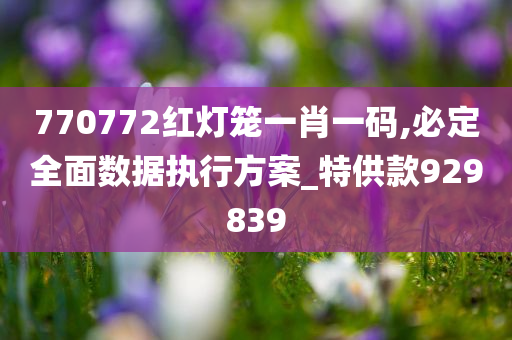 770772红灯笼一肖一码,必定全面数据执行方案_特供款929839