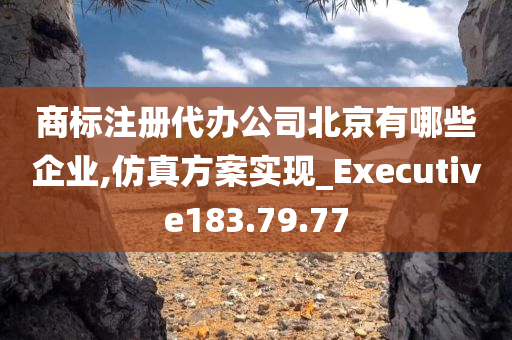 商标注册代办公司北京有哪些企业,仿真方案实现_Executive183.79.77