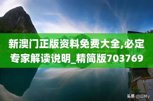 新澳门正版资料免费大全,必定专家解读说明_精简版703769